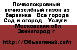 Почвопокровный, вечнозелёный газон из барвинка - Все города Сад и огород » Услуги   . Московская обл.,Звенигород г.